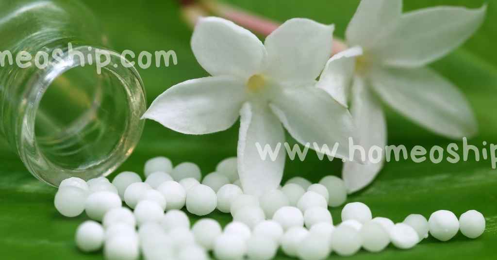 Brief History Of Homeopathy in India